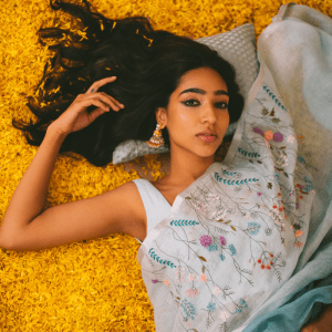 Kumud Linen Sari